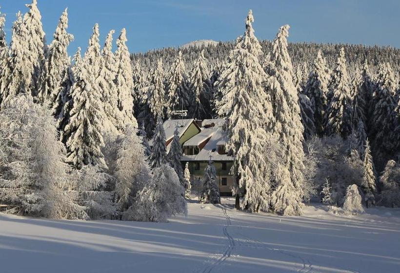 Waldhotel Achtermannstor 8