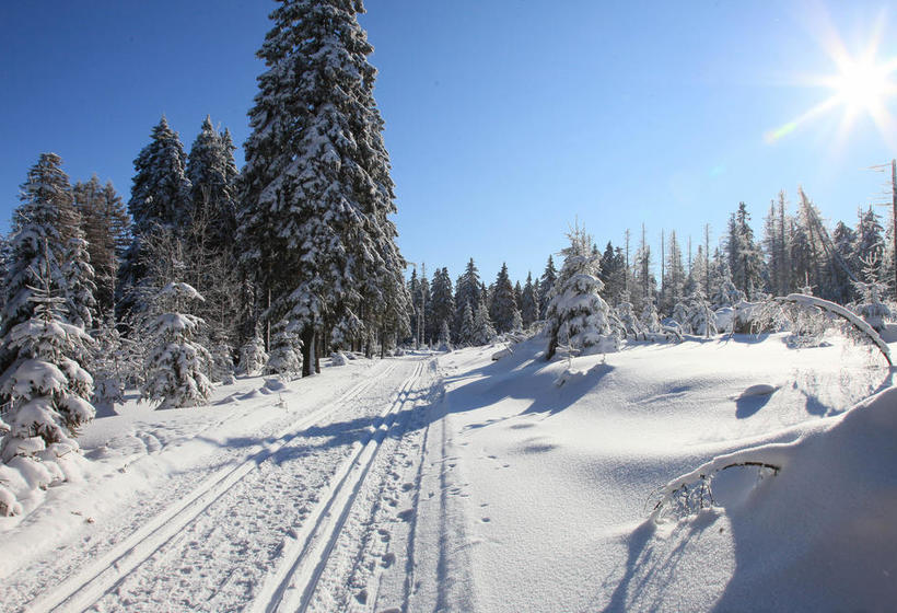 Waldhotel Achtermannstor 9