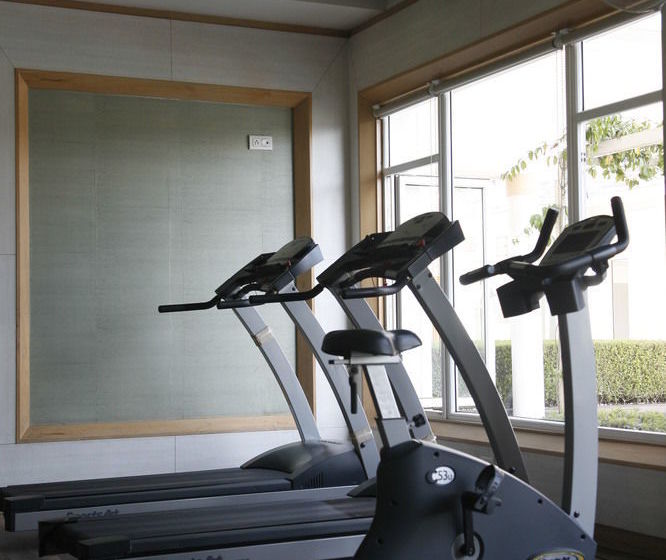 The Treehouse Hotel And Club 12