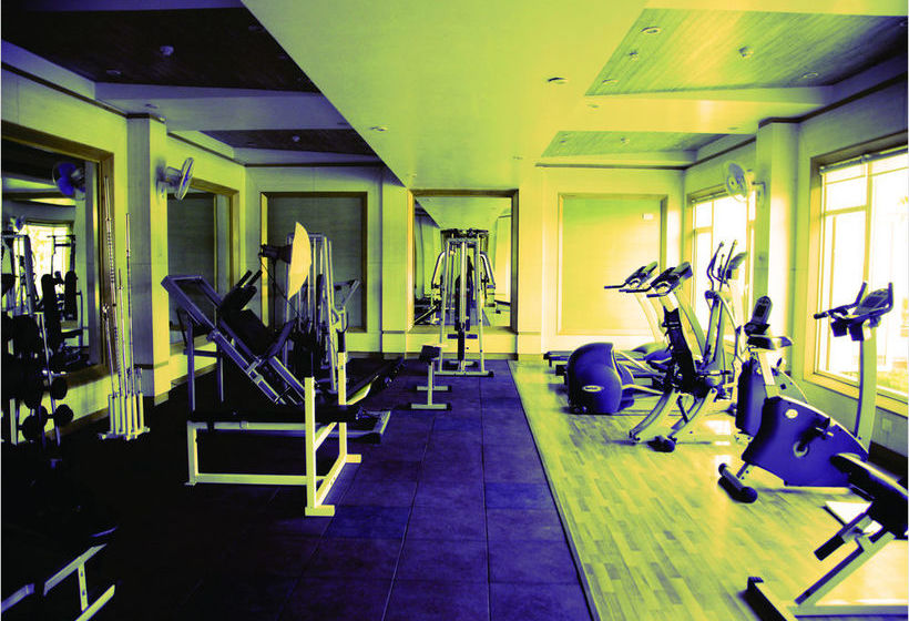 The Treehouse Hotel And Club 13