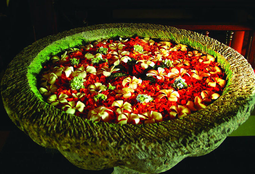 The Treehouse Hotel And Club 16