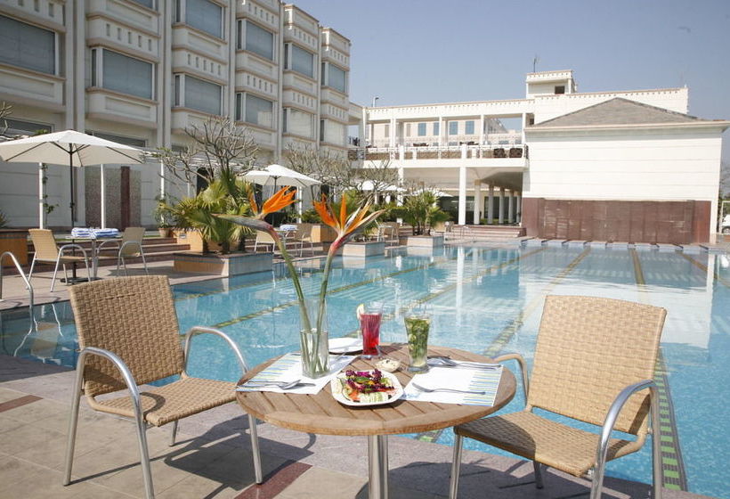 The Treehouse Hotel And Club 9