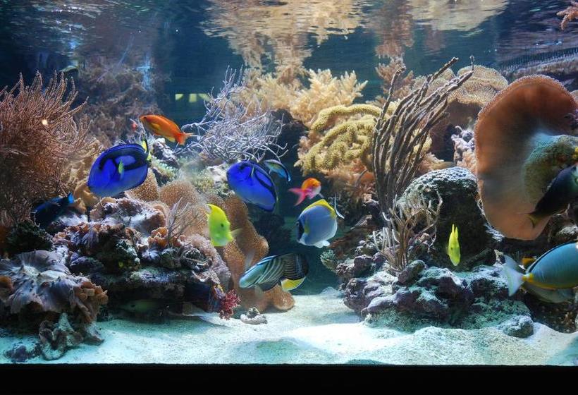 Thehotel At Lippischer Hof 8