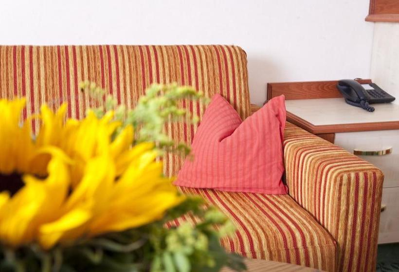 Landkomfort Hotel Elsenmann 6