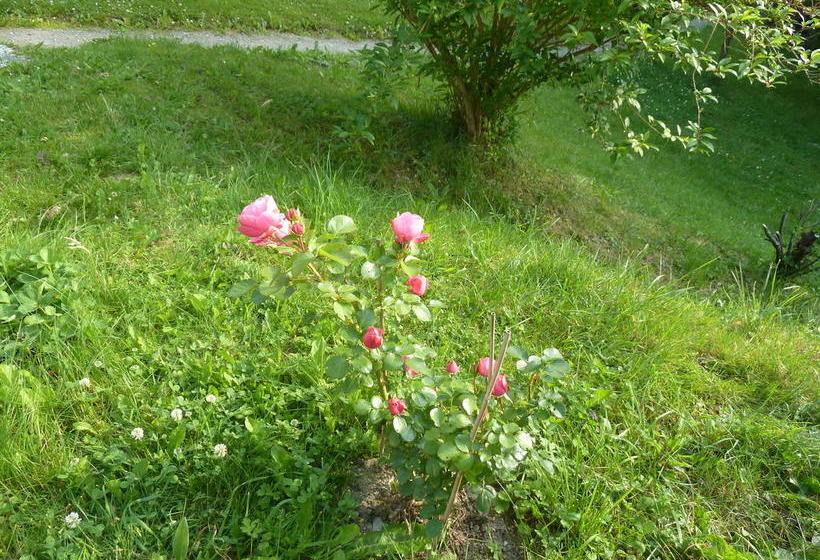 Hotel Berghaus Püttmann 1