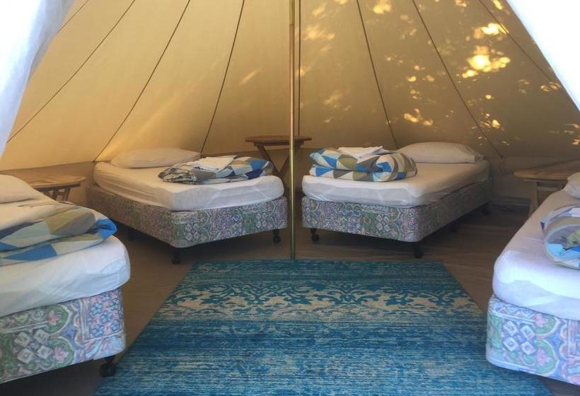 Hotel Te Anau Lakefront Backpackers 16