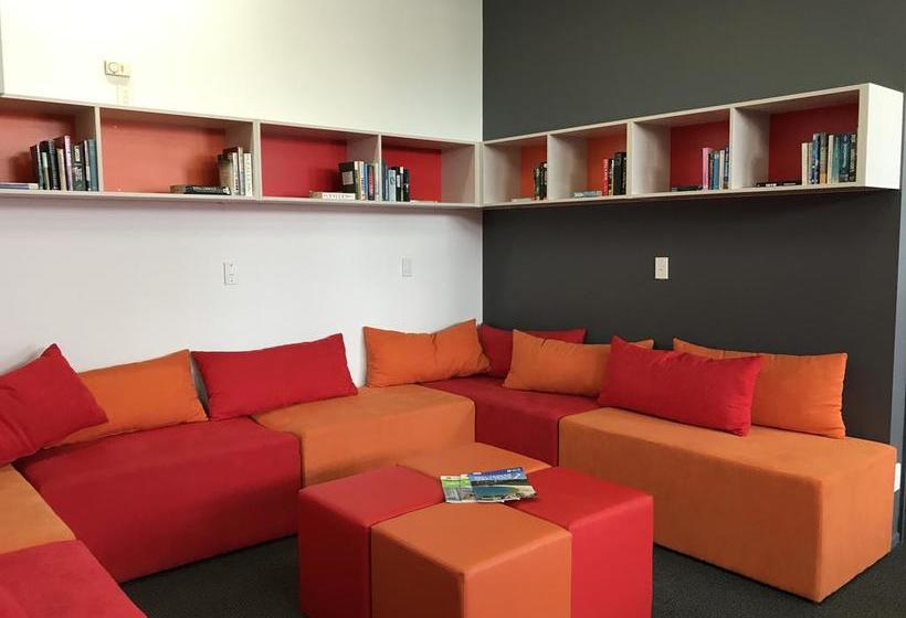 Hotel Yha Nelson Central - Backpacker 4