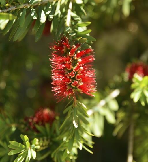 Hotel Anchor Down Picton Bed & Breakfast 6