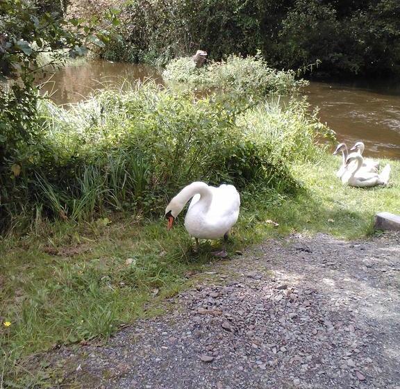 Hôtel Haus Hildegard Garni 8