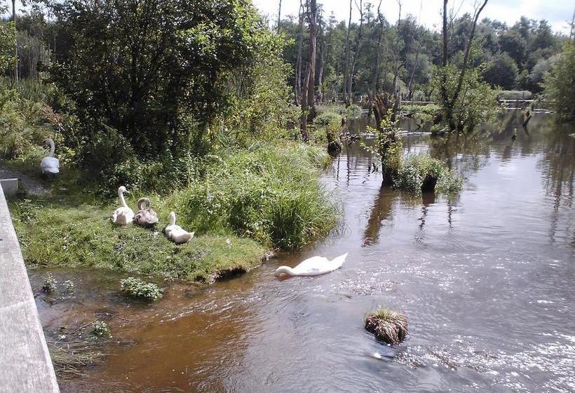 Hôtel Haus Hildegard Garni 9