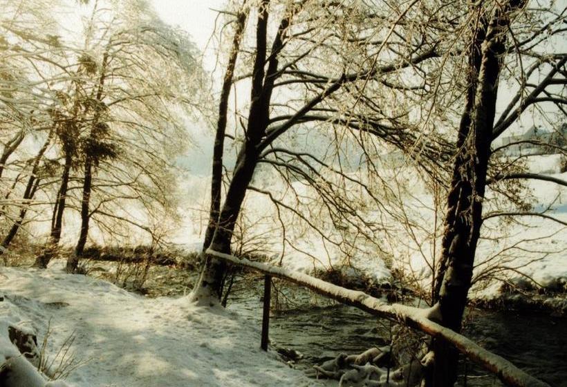 Schmidter Bauernstube Hotel & Restaurant 18