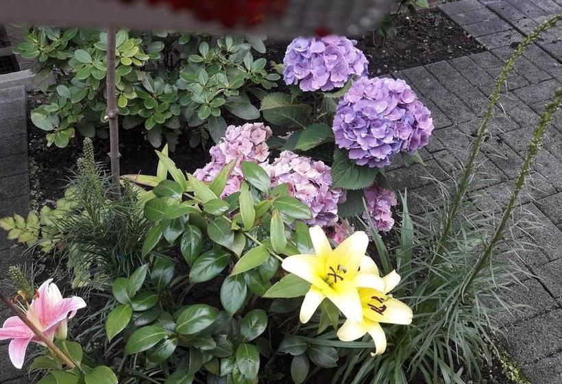 Hotel Breuer By Veganalina 9