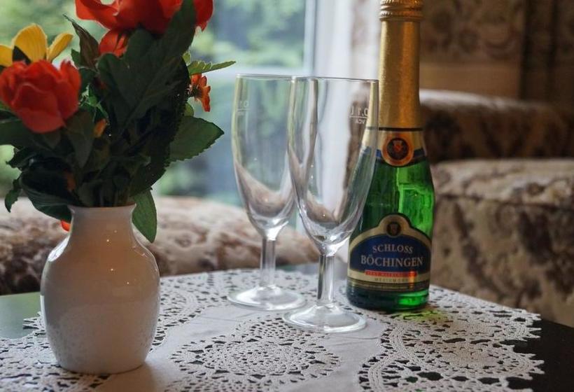 Hotel Richzenhainer Hof 4