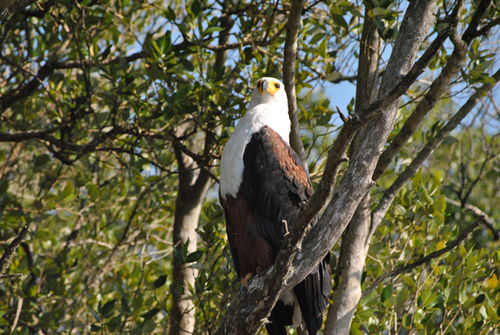 Buya Futhi Bed & Breakfast 10