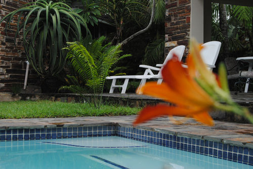 Buya Futhi Bed & Breakfast 9