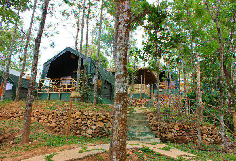 Hotel Season7 Nature Resort 5