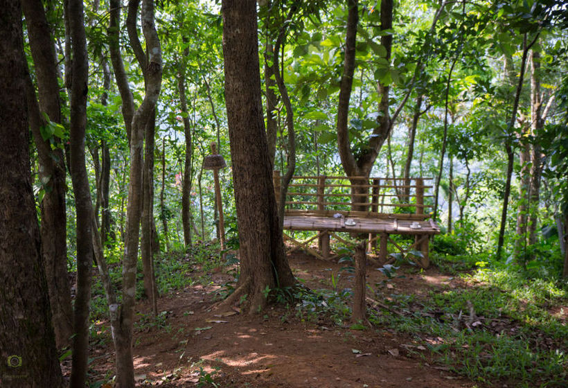 Hotel Season7 Nature Resort 6