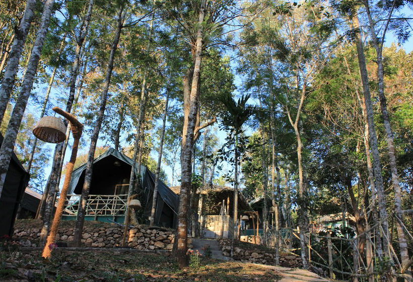 Hotel Season7 Nature Resort 7