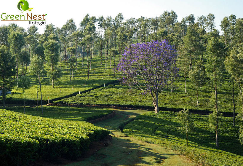 Hotel Green Nest Resort 10