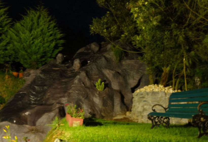 Hotel Green Nest Resort 11