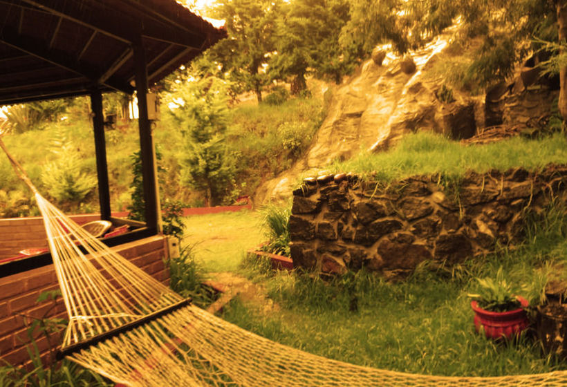 Hotel Green Nest Resort 18