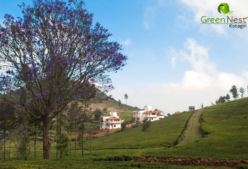 Hotel Green Nest Resort 5