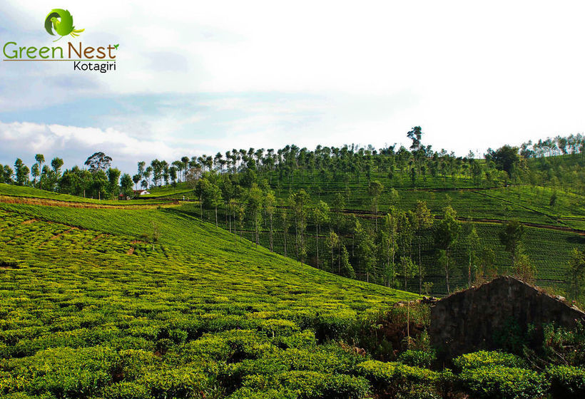 Hotel Green Nest Resort 9