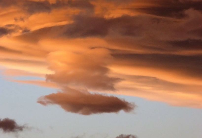 Hazelwood Mapua Bed And Breakfast 19