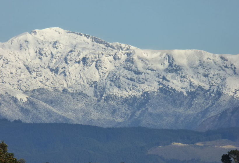 Hazelwood Mapua Bed And Breakfast 20