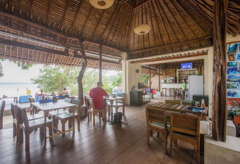 Hotel Bubble Bungalow 4