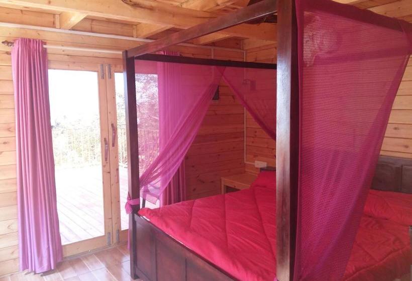 Bed and Breakfast Villas De Madeira 4