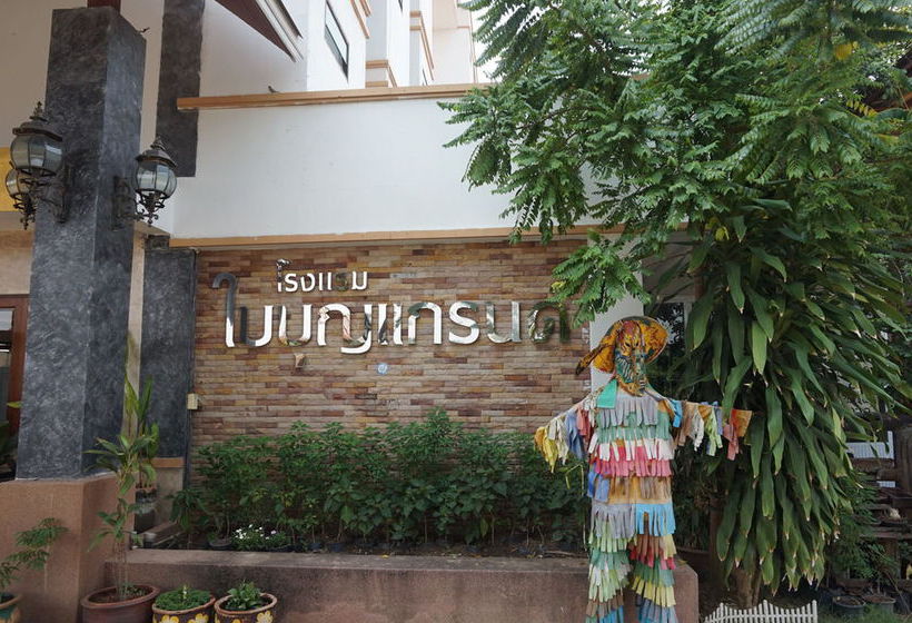 Hotel Baiboon Grand 4