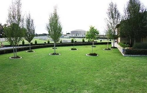 Pension Accolades Boutique Venue 11