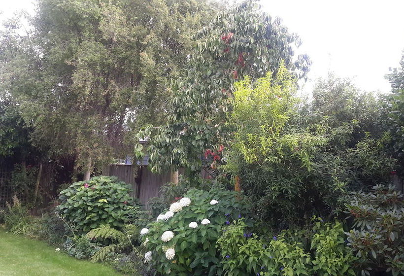 Jade Owl Bed And Breakfast 3