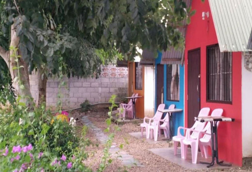 Hotel Rainbow Lodge Homestay 4