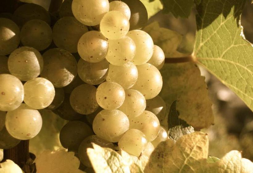 Moselhotel & Restaurant Peifer 10