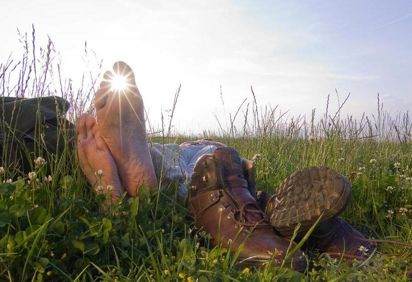 Moselhotel & Restaurant Peifer 14