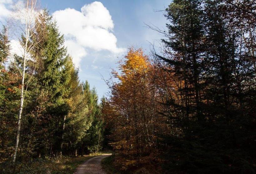 Romantik Hotel Zum Lindengarten 8