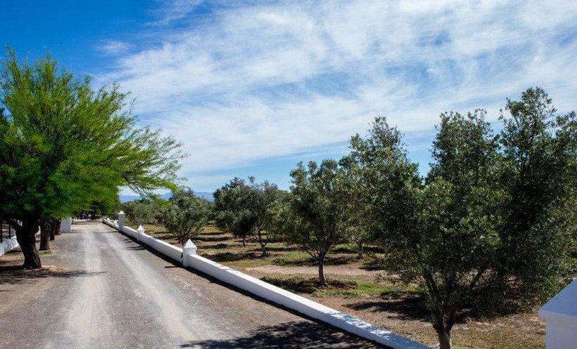 Olive Grove Guest Farm Beaufort West