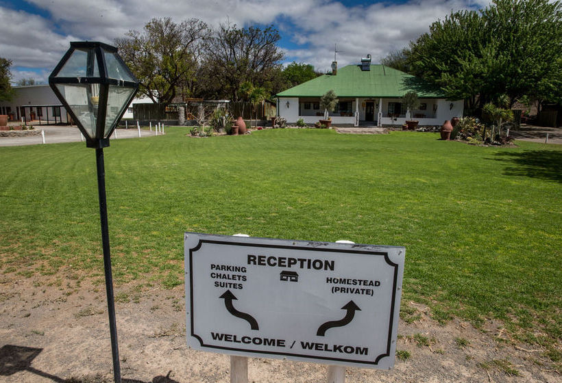 Olive Grove Guest Farm 5