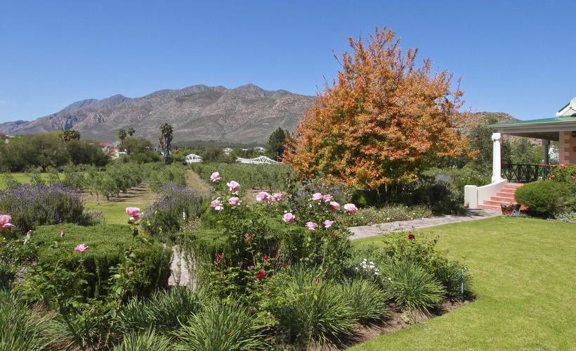 Pension Montagu Vines 4