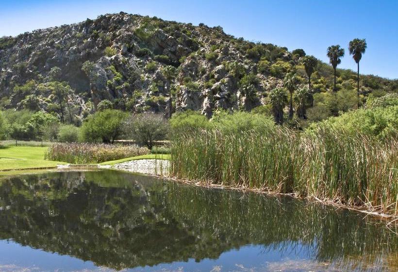 Pension Montagu Vines 6