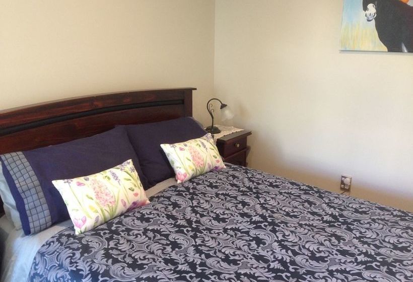 Pensión Cave Rock Guest House Christchurch