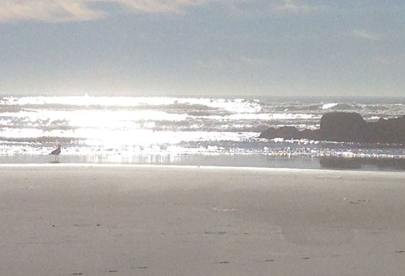 Pension Cave Rock Guest House 19