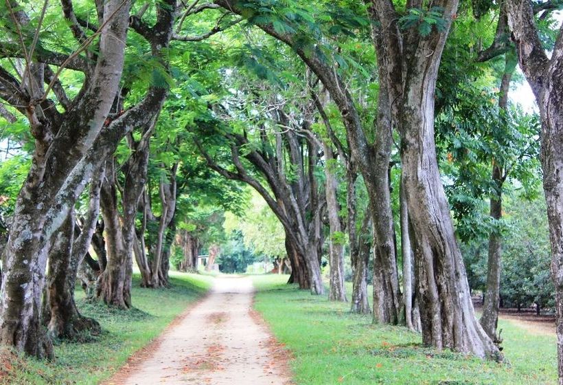 Pension Idle & Wild 10