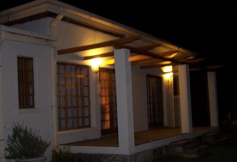 Top House Bed & Breakfast 13