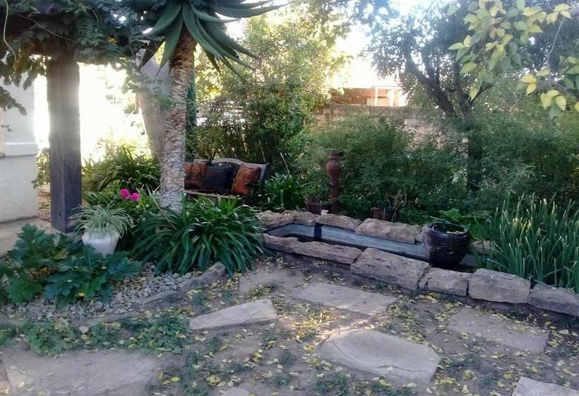 Top House Bed & Breakfast 3