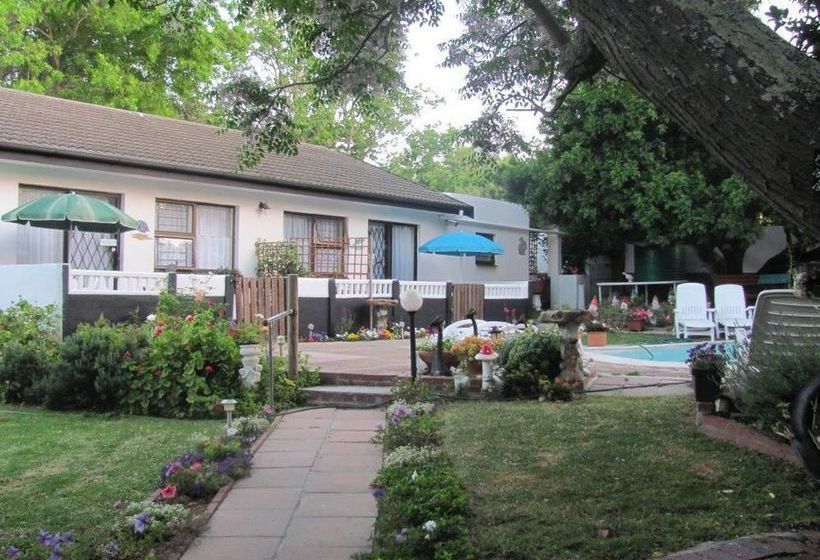 40 Winks Accommodation 10