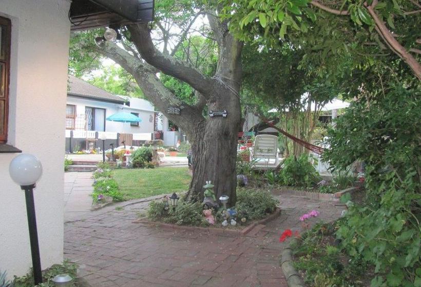 40 Winks Accommodation 9