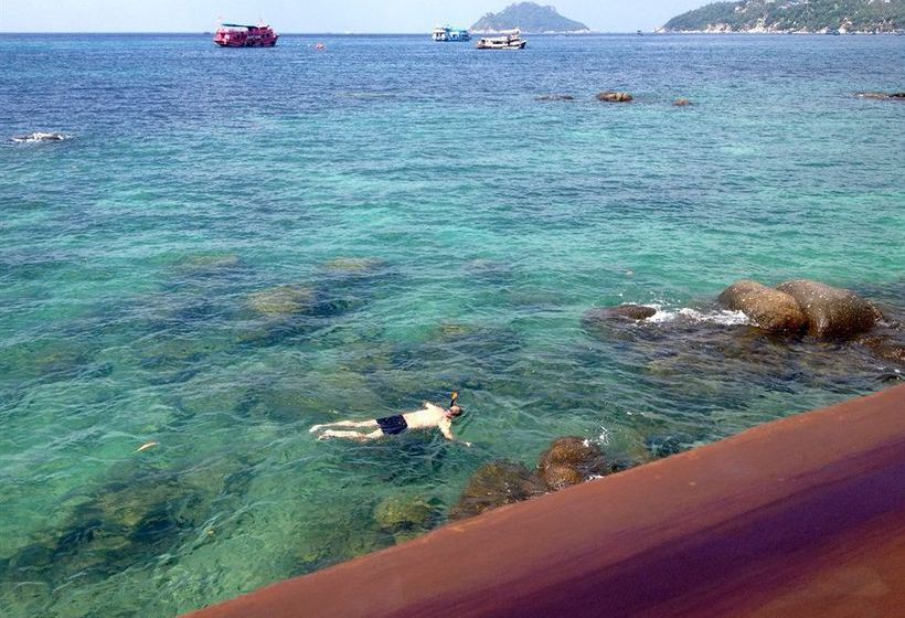 Resort Dd Hut Koh Tao 1